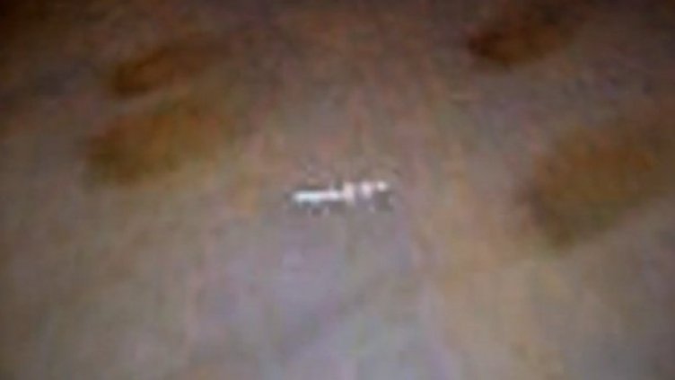 Снимка на откритието на Дейвид Мартинес, което той нарича биостанция Алфа.