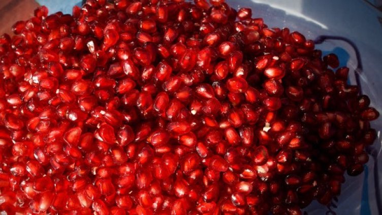 Снимка: Getty Images/Guliver Photos