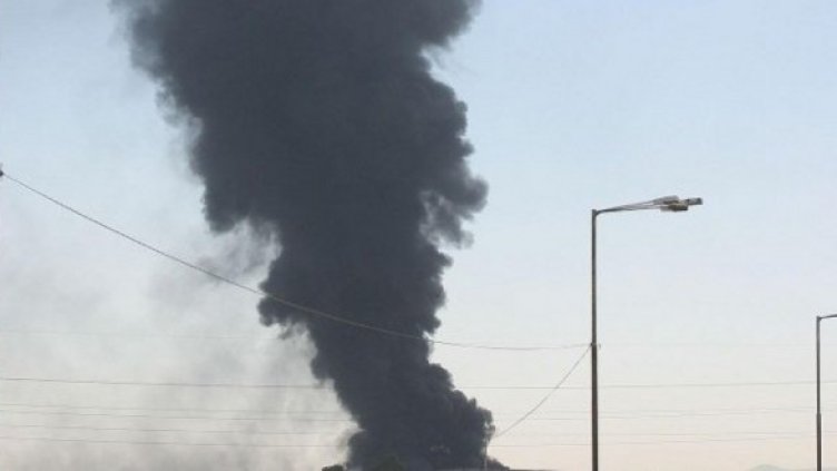 Снимка: Архив Булфото