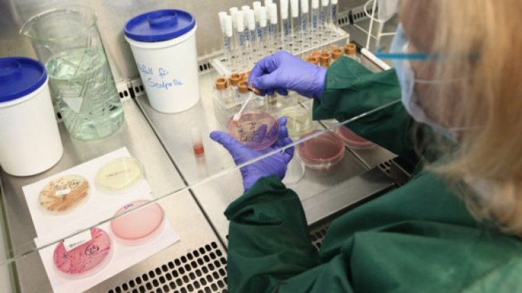 Снимка: Getty Images/Guliver Photos