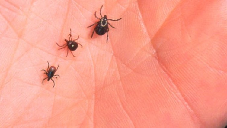 Снимка: Getty Images/Guliver Photos