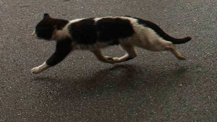 Бърза да се прибере. Снимка: Getty Images/Guliver Photos