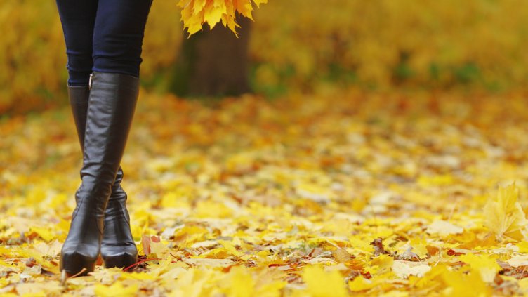 Снимка: iStock/vanMikhaylov