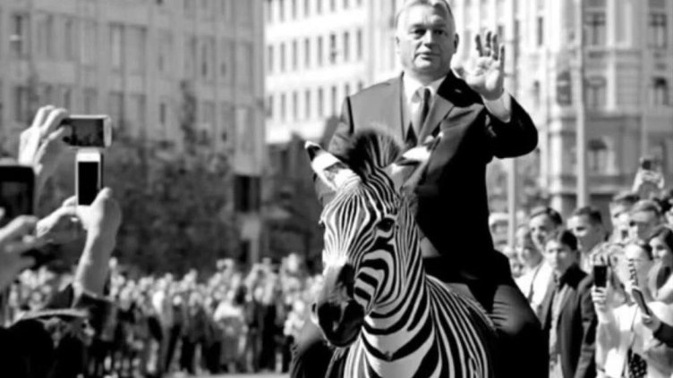 Зебри, крокодили, щрауси: Поглед в частните зооградини на политиците