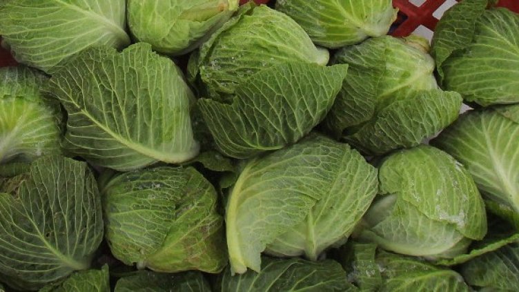 Снимка: Getty Images/Guliver Photos