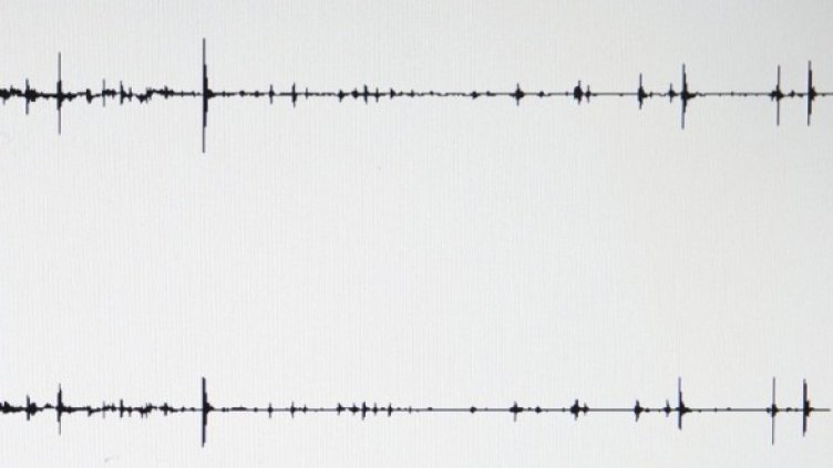 Снимка: Getty Images/Guliver Photos