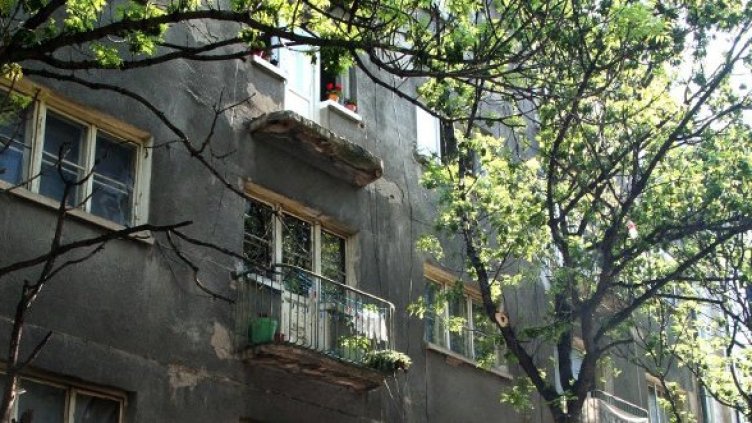 Снимка: Булфото