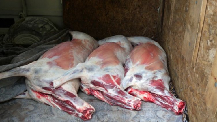 Снимка: архив Булфото