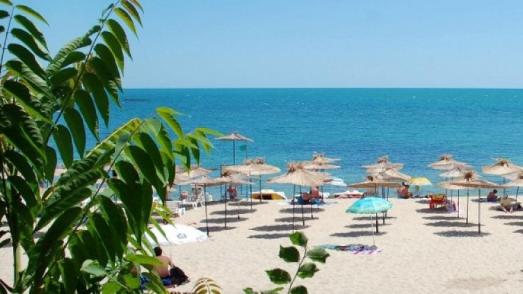 Снимка: Булфото