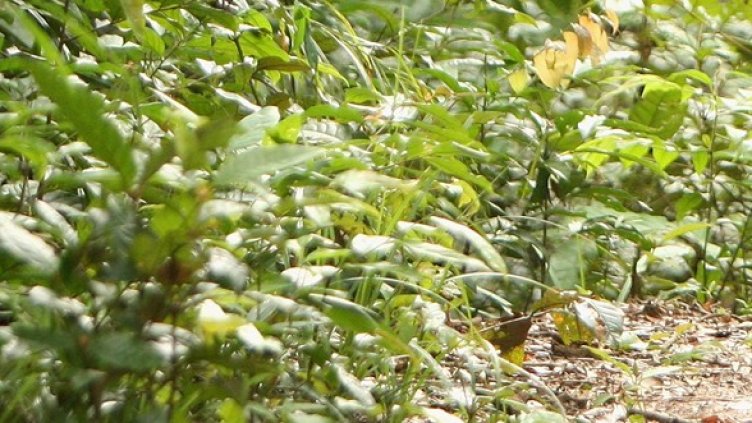 Снимка: Getty Images/Guliver Photos