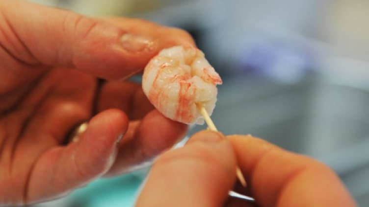 Снимка: Getty Images/Guliver Photos