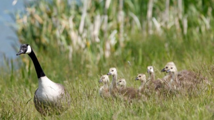 Снимка: Getty Images/Guliver Photos