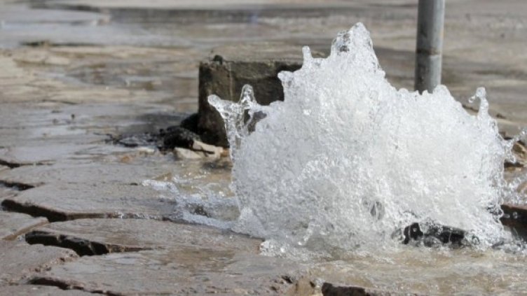 Снимка: Булфото