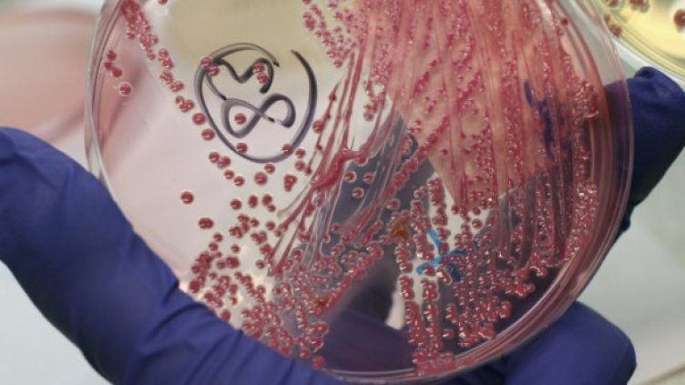 Снимка: Getty Images/Guliver Photos