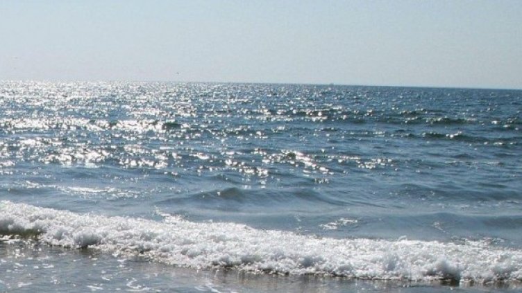 Снимка: Булфото