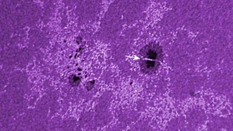 Снимка: Howard Eskildsen