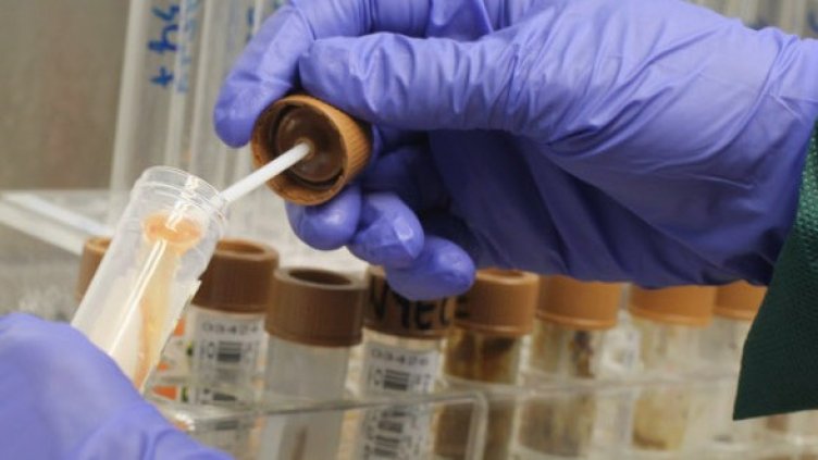 Снимка: Getty Images/Guliver Photos