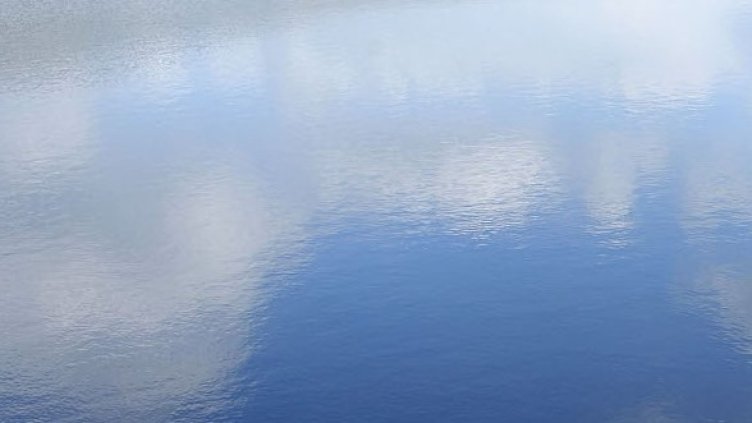 Снимка: Getty Images/Guliver Photos