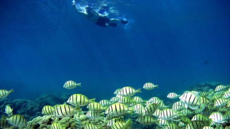 Снимка: Getty Images/Guliver Photos