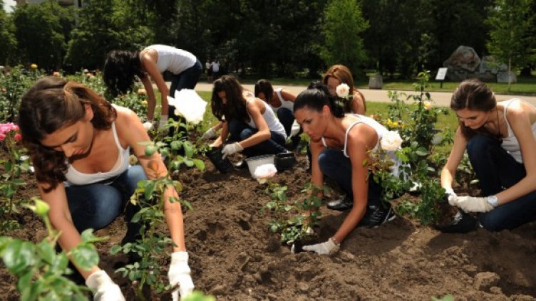 Кандидат-миски садиха рози в парка