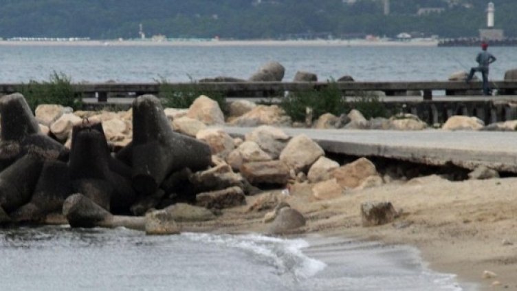 Снимка: Булфото