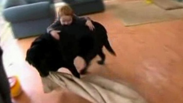 Толкова дебел, че му забраняват упражненията