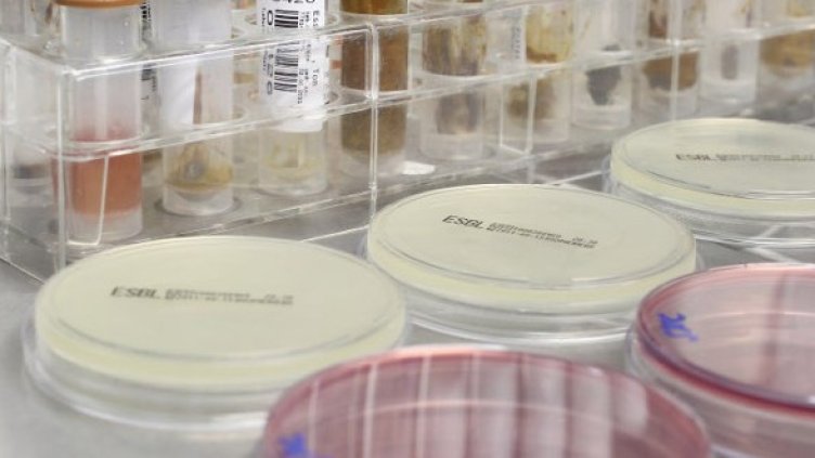 Снимка: Getty Images/Guliver Photos