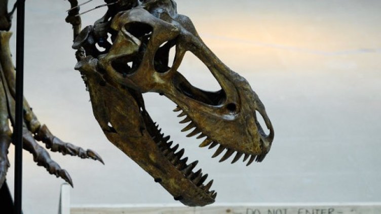 Снимка: Getty Images/Guliver Photos