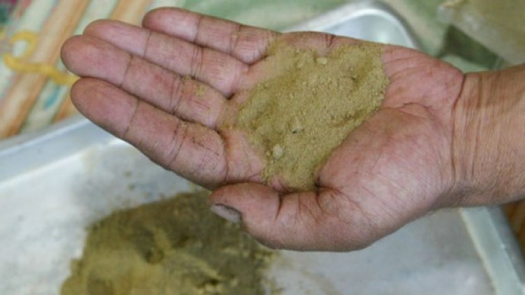 Снимка: Getty Images/Guliver Photos