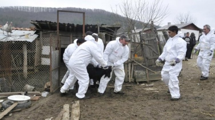 Снимка: Архив Булфото