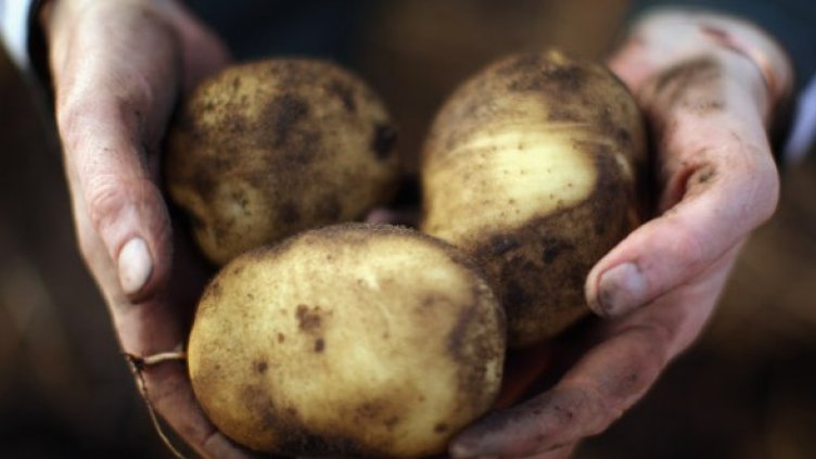 Снимка: Getty Images/Guliver Photos