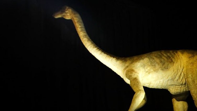 Снимка: Getty Images/Guliver Photos