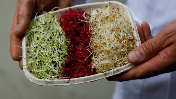 Снимка: Reuters