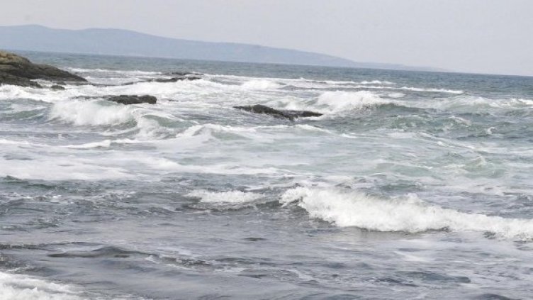 Снимка: архив Булфото