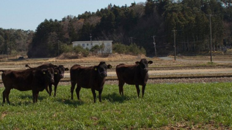 Снимка: Getty Images/Guliver Photos