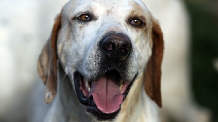 Снимка: архив, Getty Images/Guliver Photos