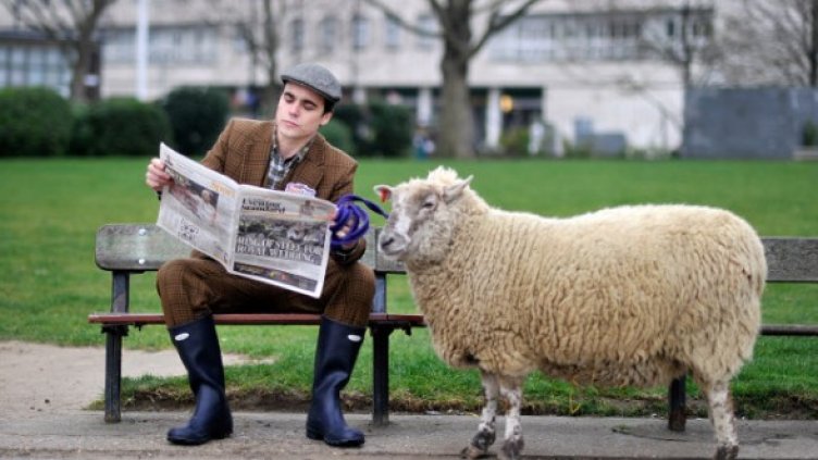 Снимка: Getty Images/Guliver Photos