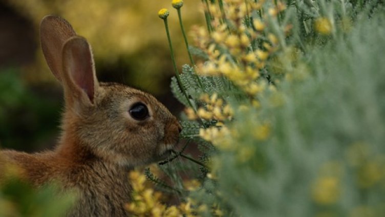 Снимка: Getty Images/Guliver Photos