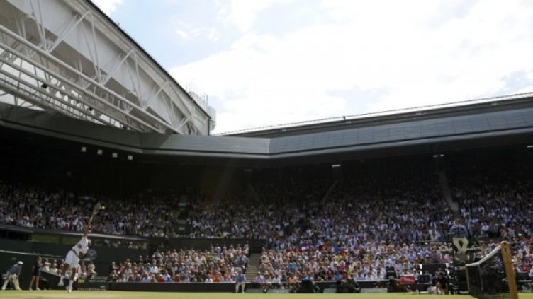 Работното място на ястреба Руфъс. Снимка: Reuters