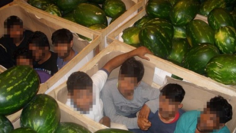 Снимка: МВР