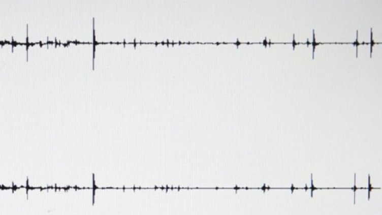 Снимка: Getty Images/Guliver Photos