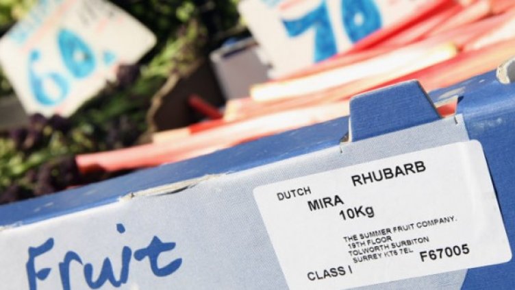 Снимка: Getty Images/Guliver Photos