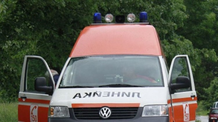 Снимка: Архив Булфото