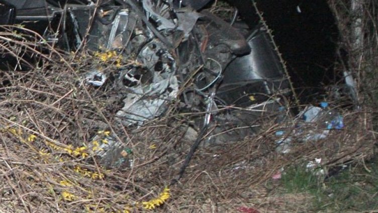 Снимка: Архив, Булфото