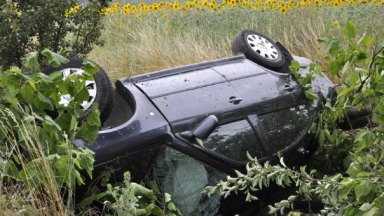 Снимка: Булфото