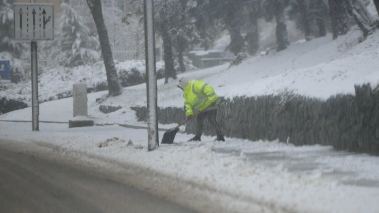 Снимка: БГНЕС