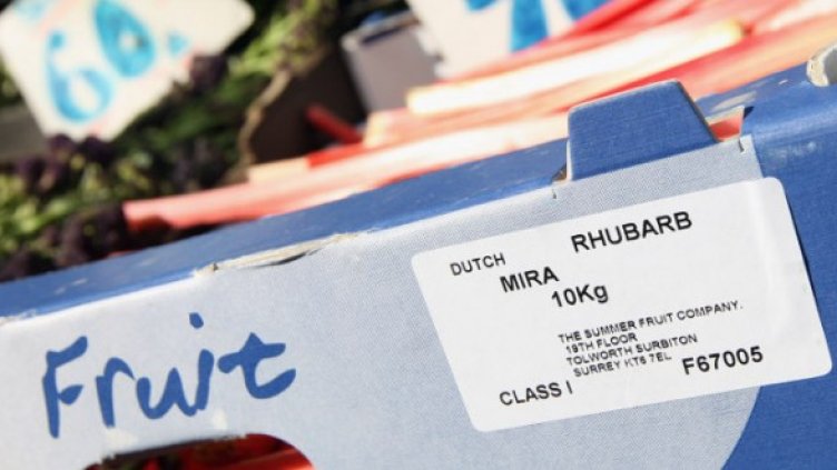 Снимка: Getty Images/Guliver Photos