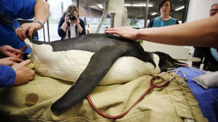 Снимка: Getty Images/Guliver Photos