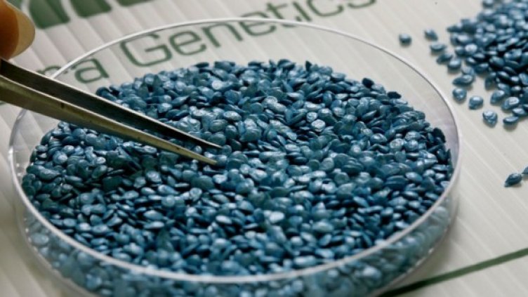 Снимка: Getty Images/Guliver Photos