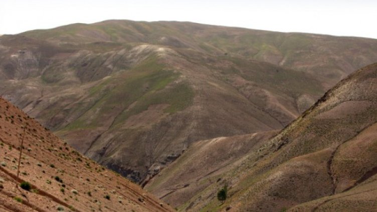 Снимка: Getty Images/Guliver Photos